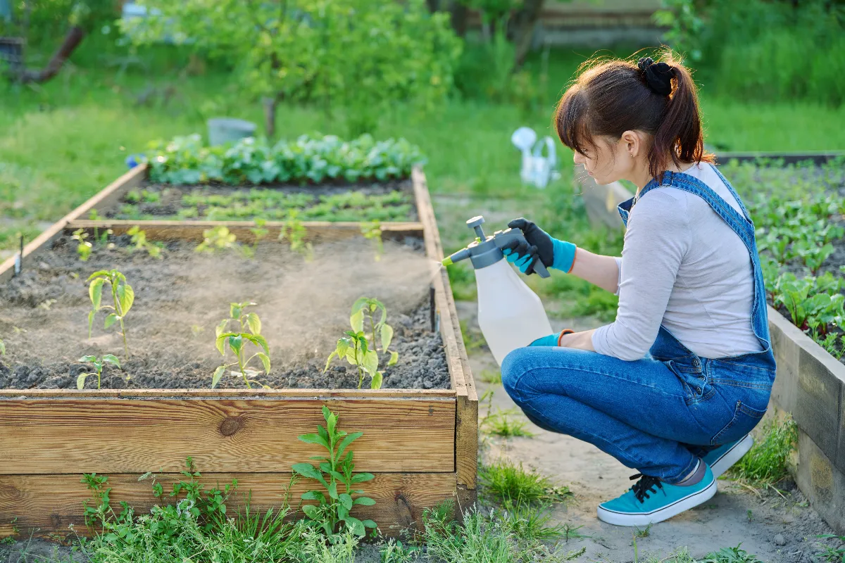transformez-votre-jardinage-avec-ladblue-un-guide-surprenant-pour-lutiliser-comme-desherbant