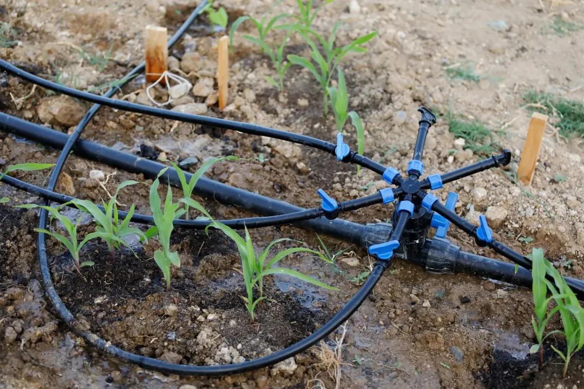 kit arrosage goutte à goutte