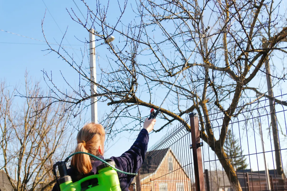 dosage-glyphosate-pour-5-l-deau-forum-les-recommandations-sur-le-forum-pour-une-utilisation-optimal